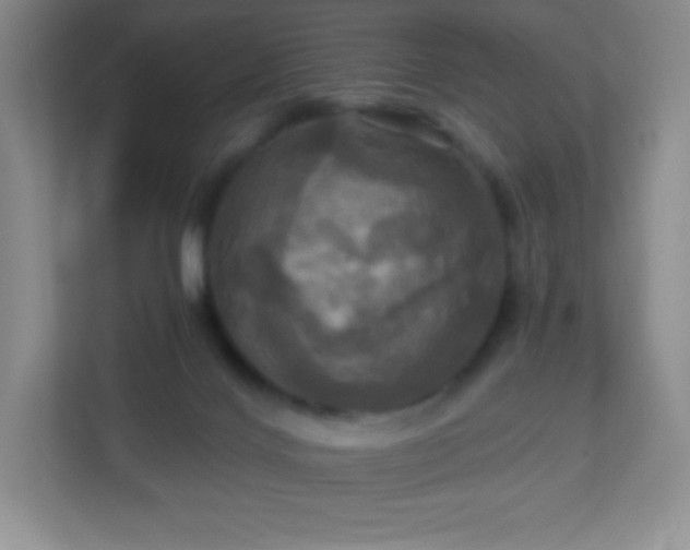 X0000113050028200909031341