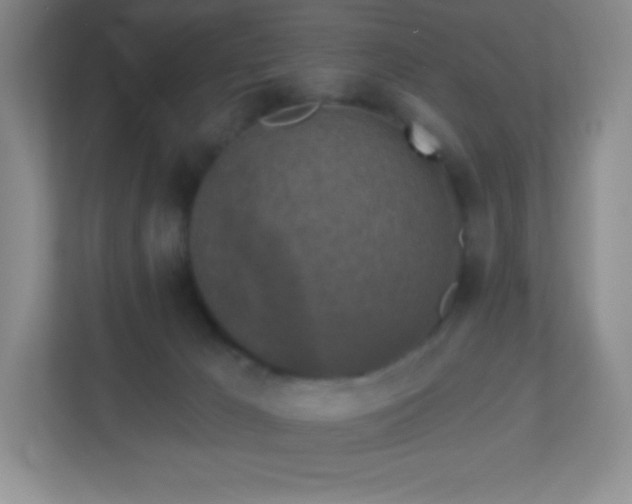 X0000113050029200909031341