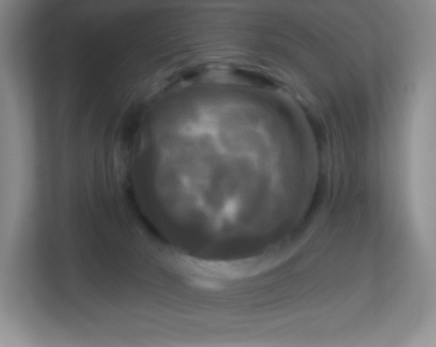 X0000113050030200909031341