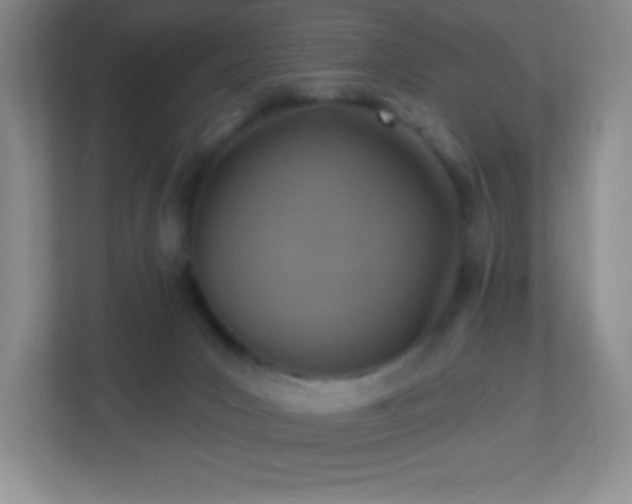 X0000113050031200909031341