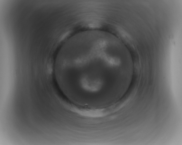 X0000113050032200909031341