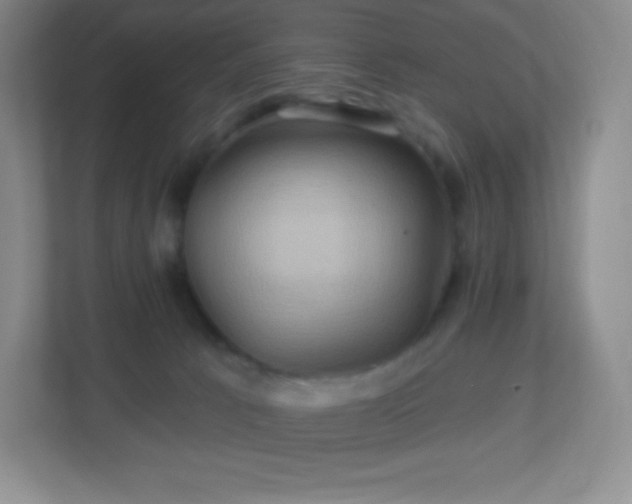 X0000113050033200909031341