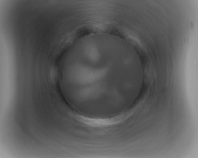 X0000113050034200909031341