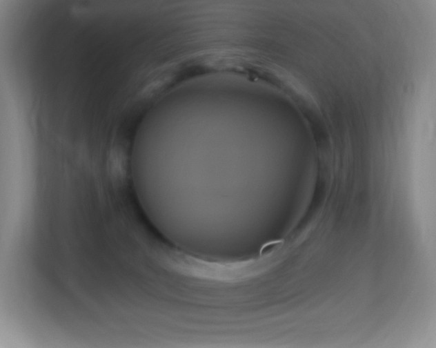 X0000113050035200909031341