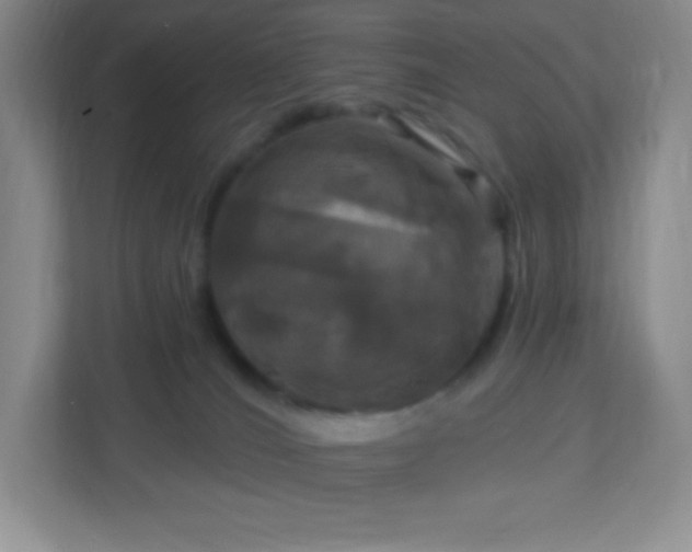 X0000113050036200909031341