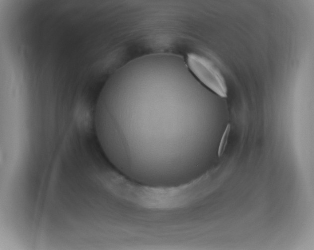 X0000113050037200909031340