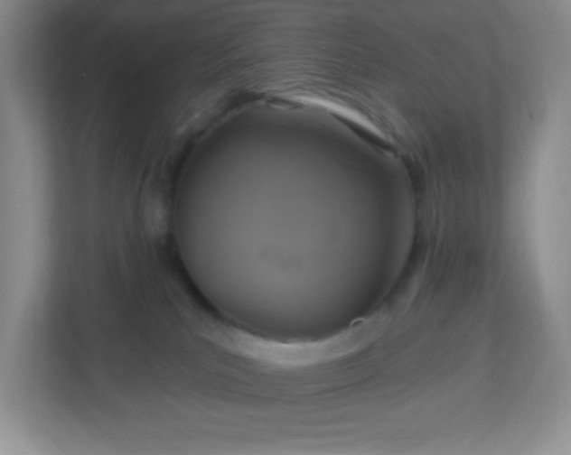 X0000113050039200909031340