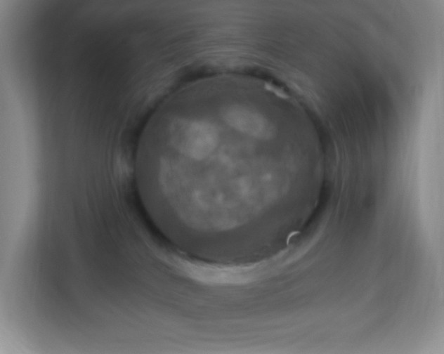 X0000113050040200909031340