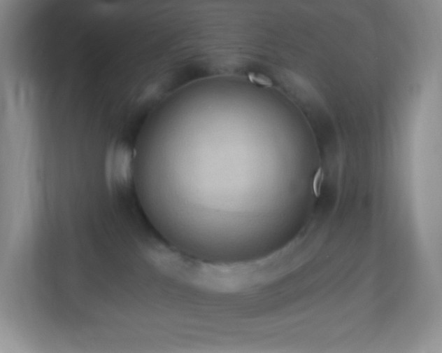 X0000113050041200909031340