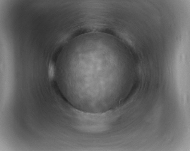 X0000113050042200909031340