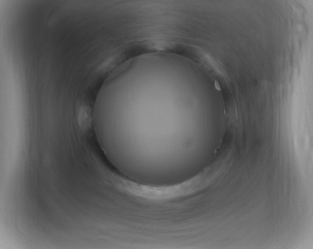 X0000113050043200909031340