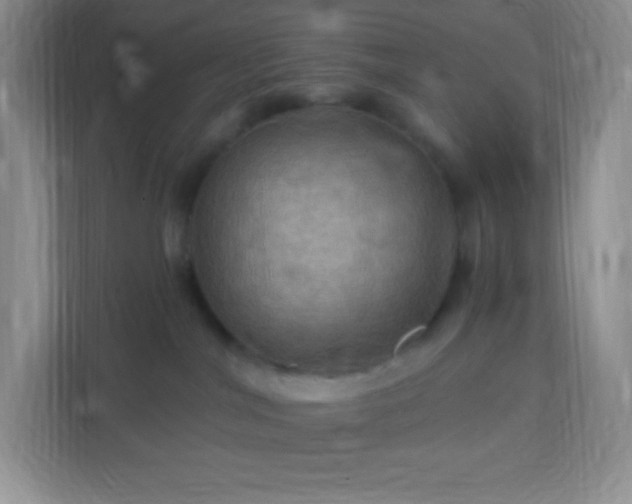 X0000113050044200909031340