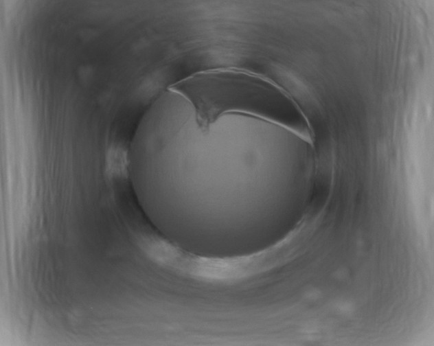 X0000113050045200909031340