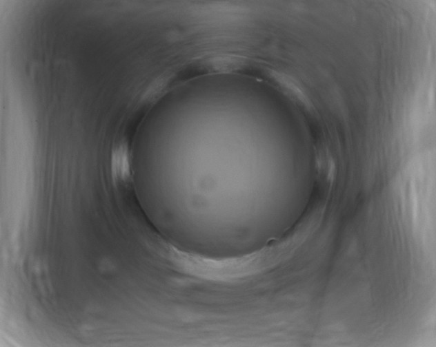 X0000113050046200909031340