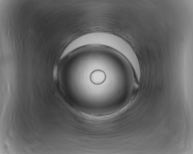 X0000113050047200909031340