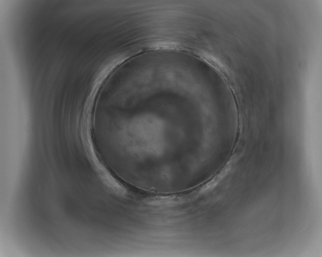 X0000113050049200909031340