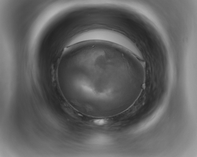 X0000113050050200909031340