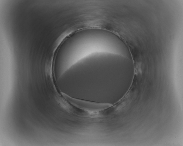 X0000113050052200909031340