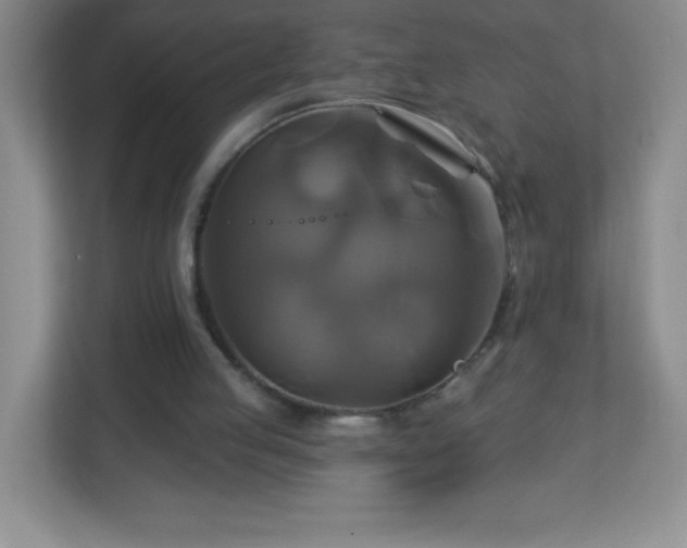 X0000113050053200909031340