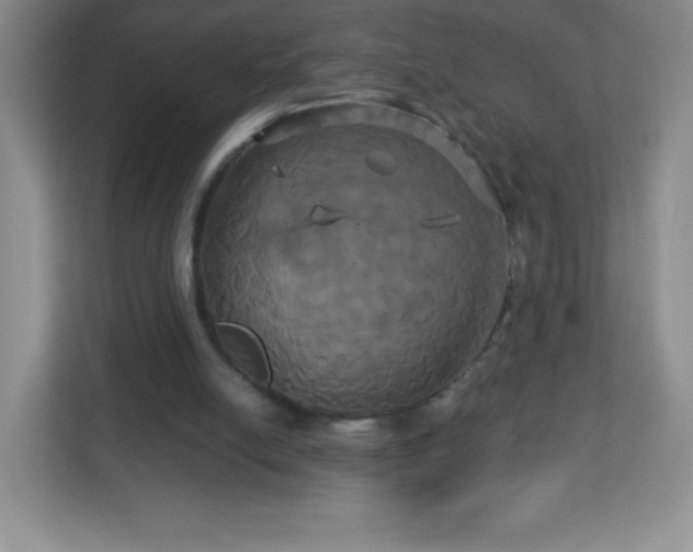 X0000113050054200909031340