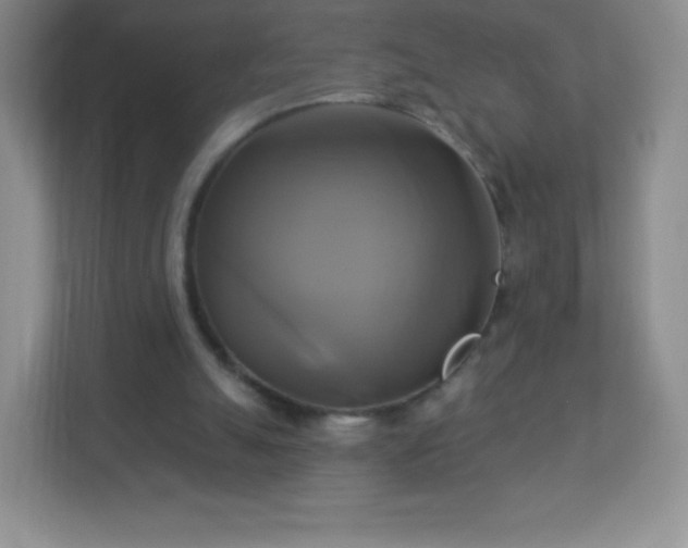 X0000113050055200909031340