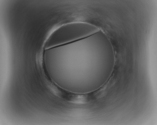 X0000113050056200909031340