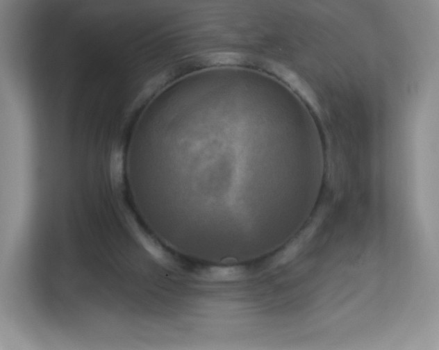 X0000113050057200909031340