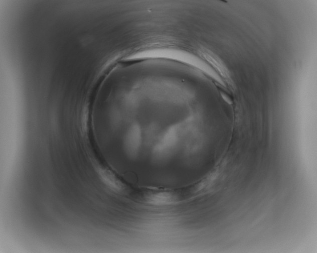 X0000113050058200909031340