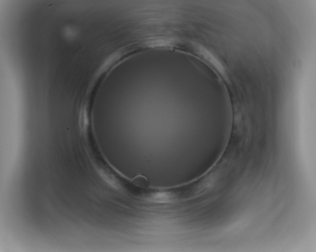 X0000113050059200909031340