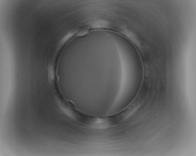 X0000113050060200909031340