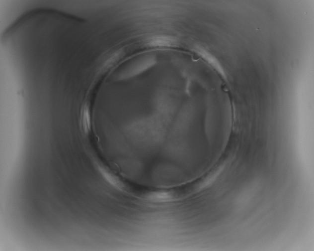 X0000113050061200909031340