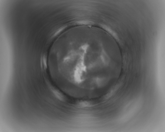 X0000113050062200909031340