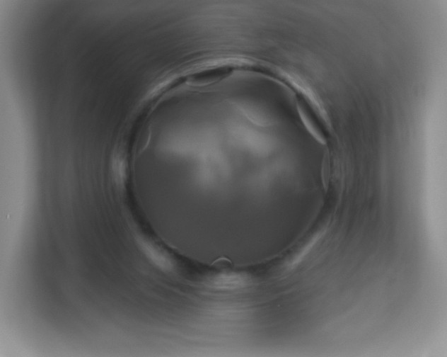 X0000113050063200909031340