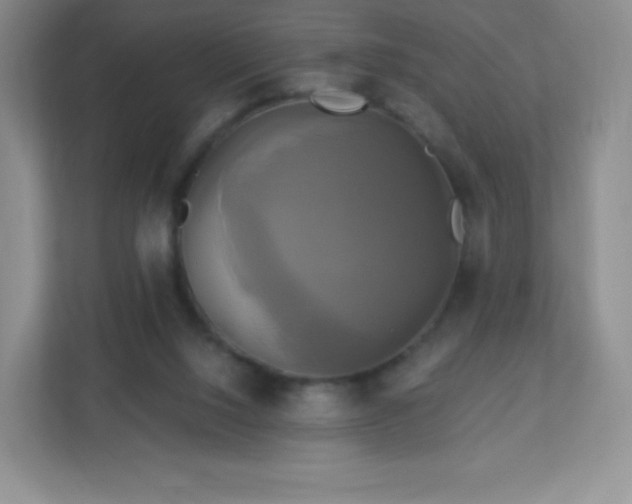 X0000113050064200909031340