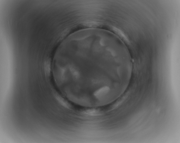 X0000113050065200909031340