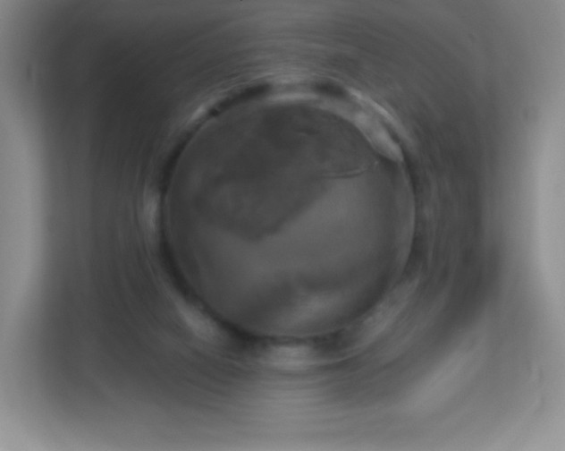 X0000113050066200909031340