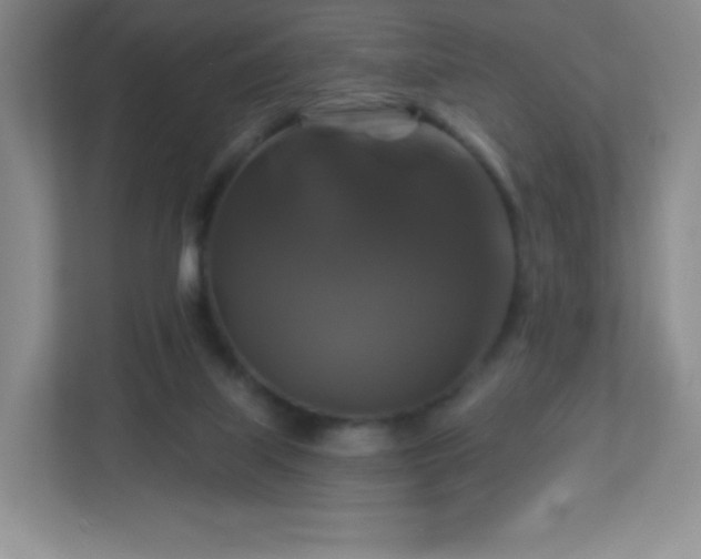 X0000113050067200909031340