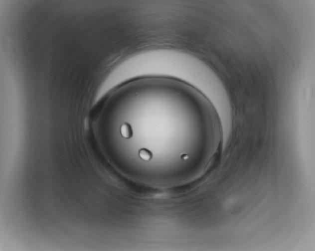 X0000113050068200909031340