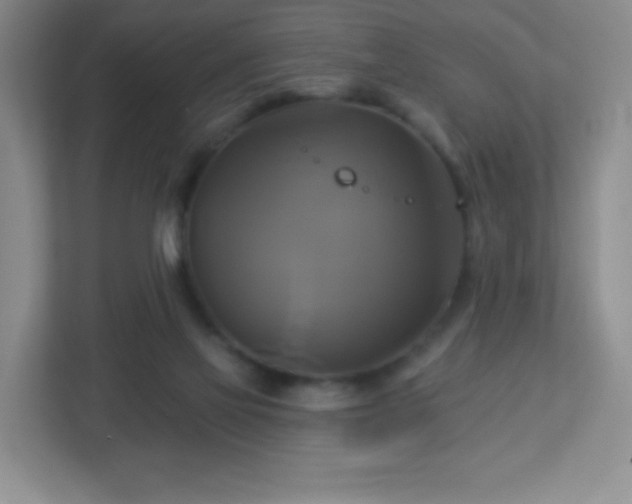 X0000113050069200909031340