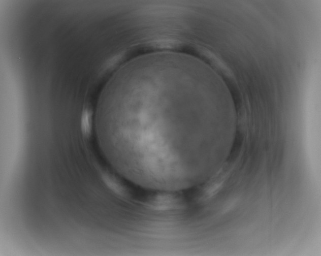 X0000113050070200909031340