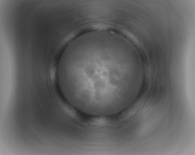 X0000113050071200909031340