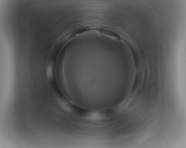 X0000113050074200909031340