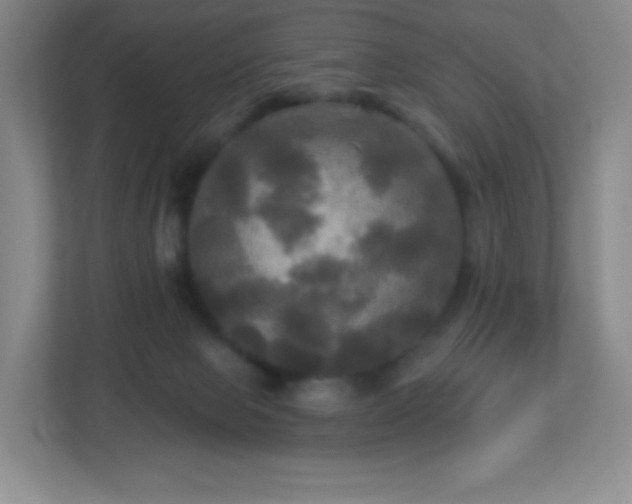 X0000113050077200909031340