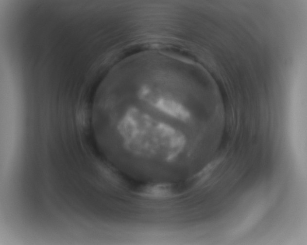 X0000113050078200909031340