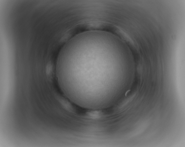 X0000113050079200909031340