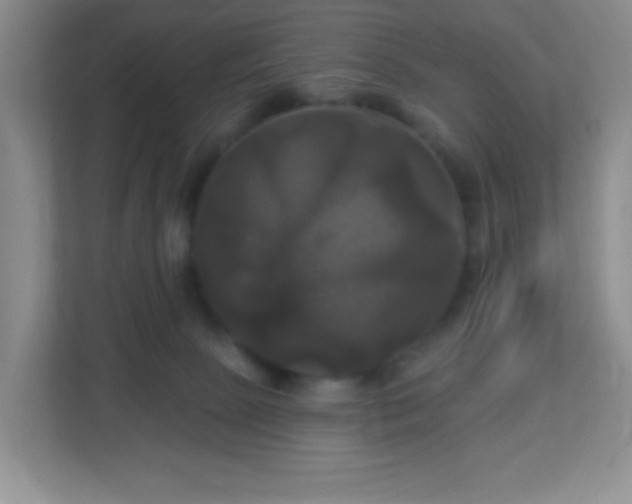 X0000113050081200909031340