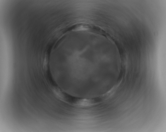 X0000113050082200909031340