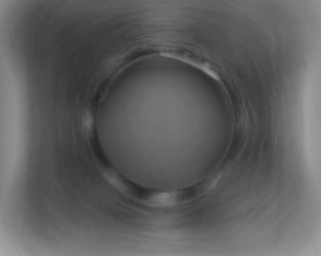 X0000113050084200909031340