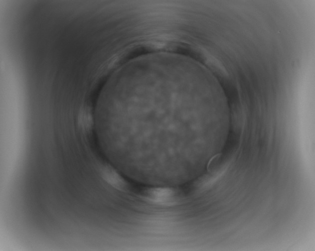 X0000113050085200909031340