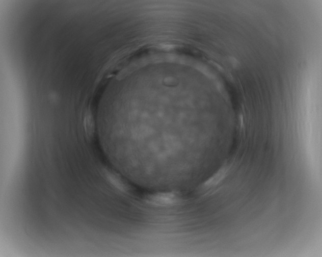 X0000113050086200909031340